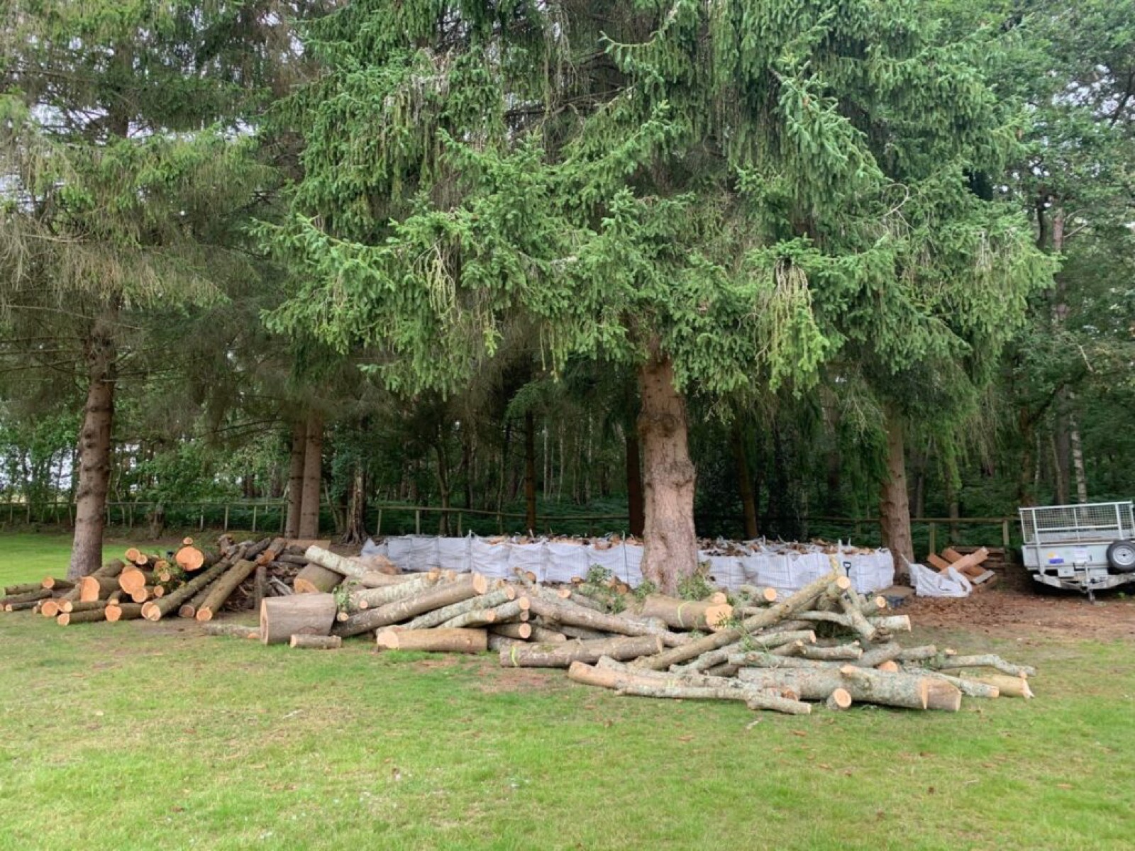 Felled timber lengths and filled bulk bags in the yard beneath tall conifers